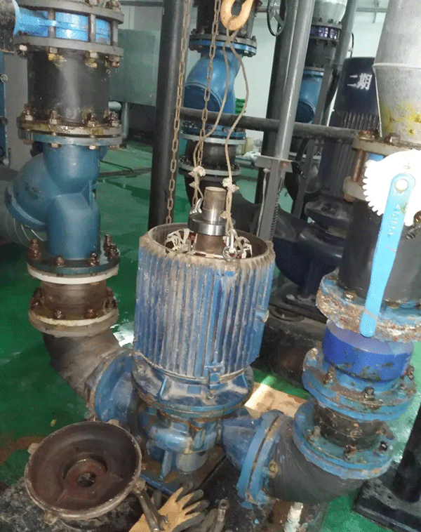 电机如何适应变频起动新技术——西安泰富西玛电机（西安西玛电机集团股份有限公司）官方网站