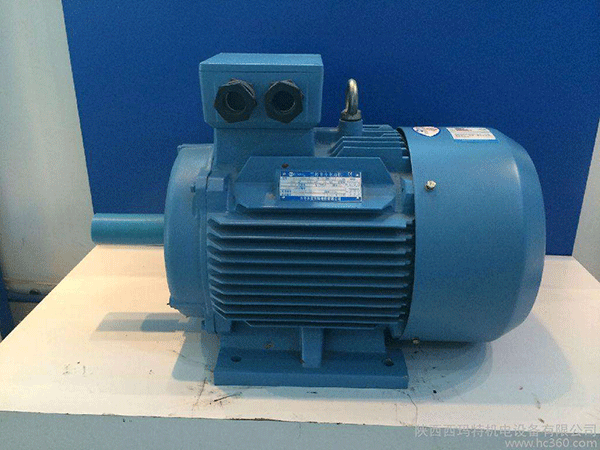 高效节能电机是西安泰富西玛未来商业发展的方向。