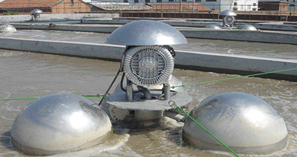 如何根据西玛电机的外表来检查防护等级的一致性？