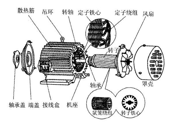 三相异步电动机的六种分类方法及具体分类。